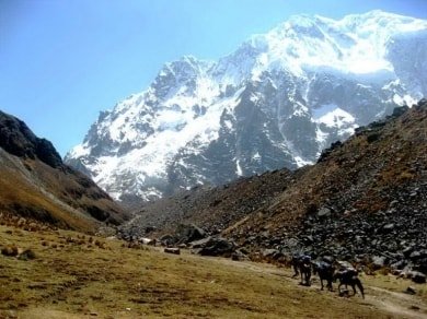Camino salkantay