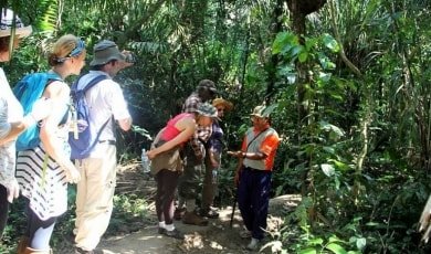 Jungle péruvienne Amazon eco amazonia lodge
