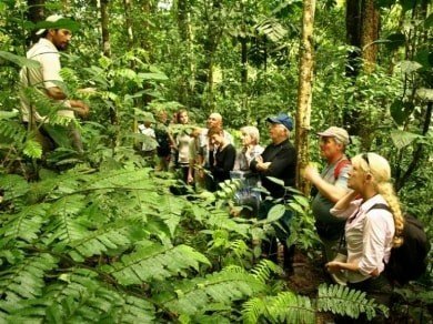 Rainforest lodge