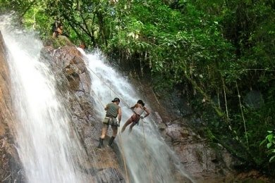 Selva central 