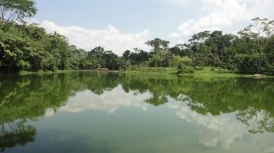 Iquitos