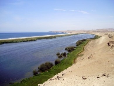 La albufera